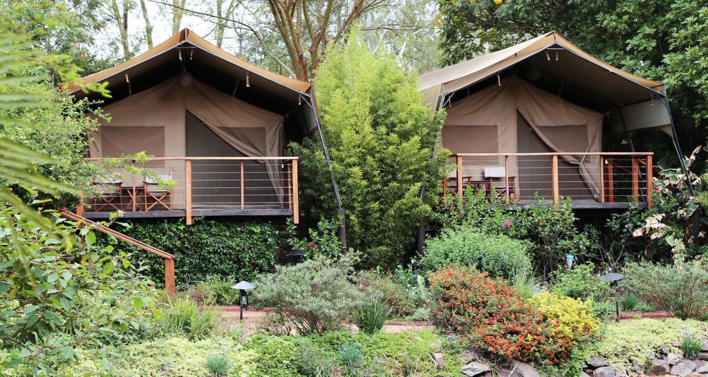 Hotel Wildebeest Eco Camp à Nairobi Extérieur photo